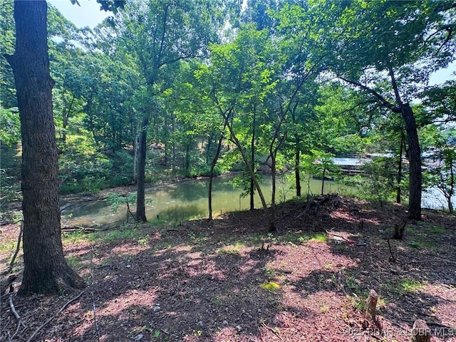 LOT114 Blue Water Bay Dr, Sunrise Beach, MO 65079 - photo 4