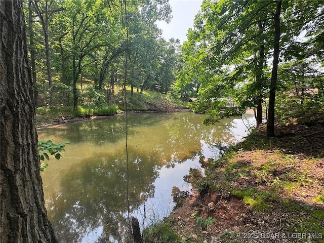 LOT114 Blue Water Bay Dr, Sunrise Beach, MO 65079 - photo 5