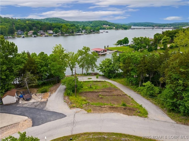 73 Good Neighbors Loop, Camdenton, MO 65020 - aerial view of a nearby body of water