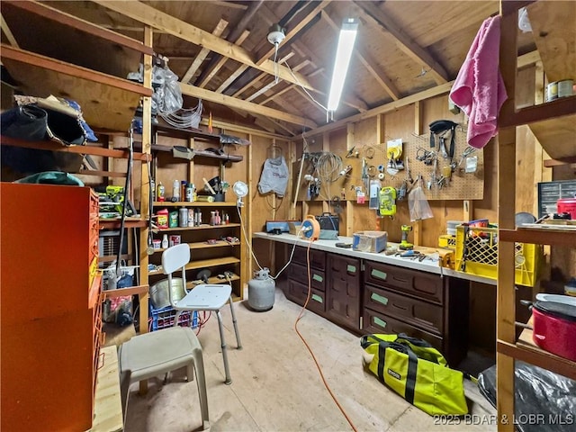 73 Good Neighbors Loop, Camdenton, MO 65020 - view of storage area