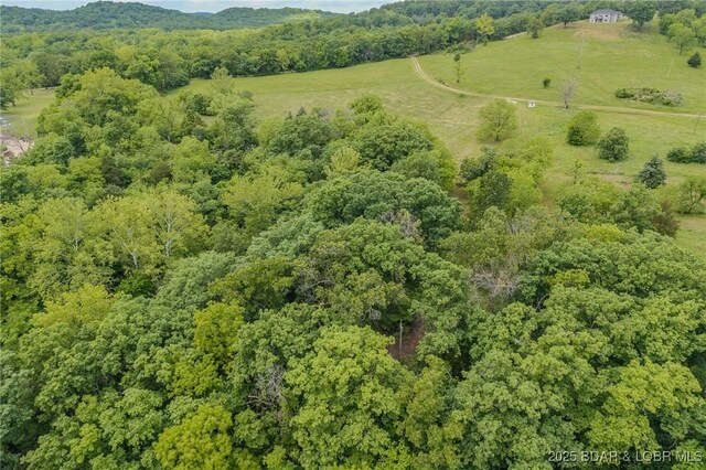 2674 Wagon Trail Dr, Camdenton, MO 65020