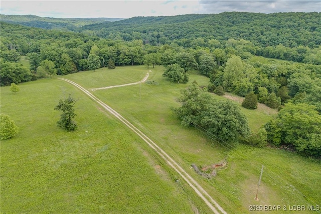2674 Wagon Trail Dr, Camdenton, MO 65020