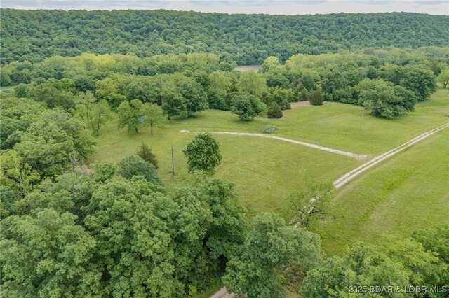 2674 Wagon Trail Dr, Camdenton, MO 65020