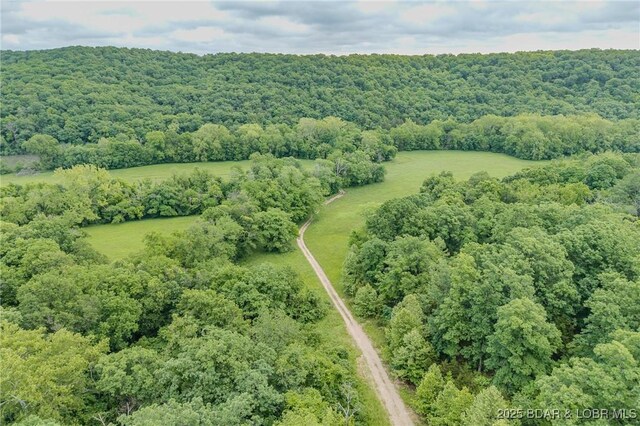 2674 Wagon Trail Dr, Camdenton, MO 65020