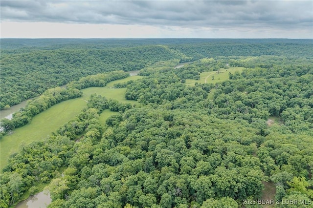 2674 Wagon Trail Dr, Camdenton, MO 65020