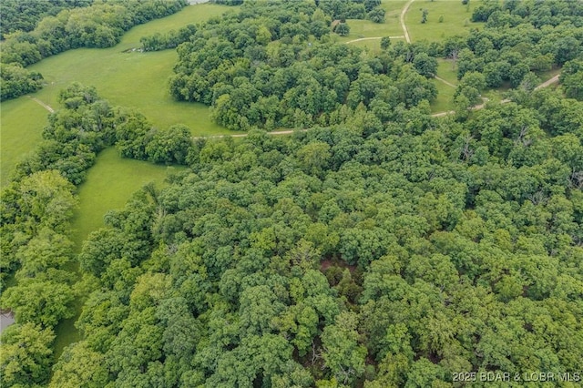 2674 Wagon Trail Dr, Camdenton, MO 65020