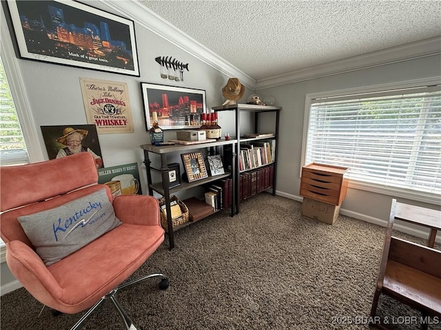 1089 Buckingham Dr Unit 1, Camdenton, MO 65020 - carpeted home office featuring ornamental molding, a textured ceiling, plenty of natural light, and lofted ceiling