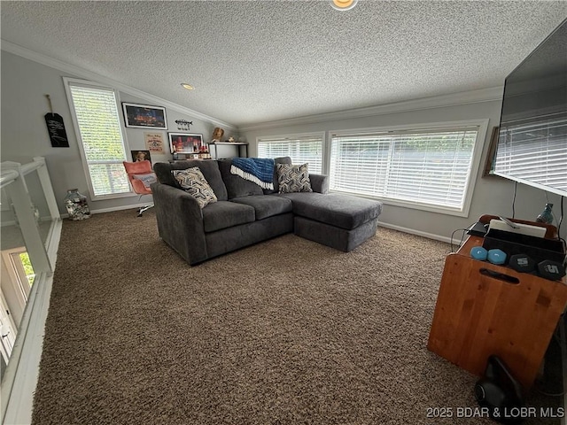 1089 Buckingham Dr Unit 1, Camdenton, MO 65020 - living area featuring crown molding, carpet, a textured ceiling, baseboards, and lofted ceiling