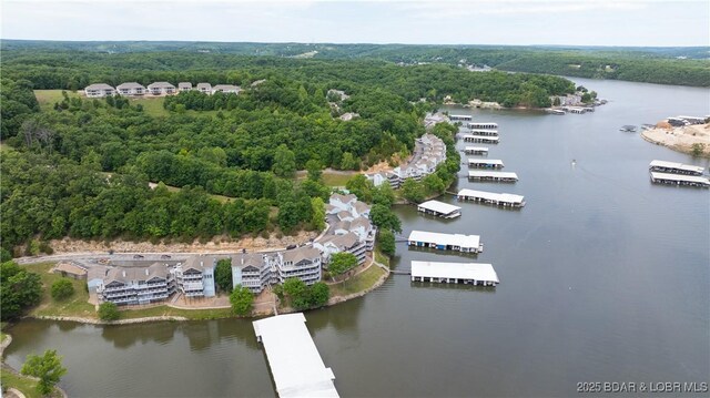 1089 Buckingham Dr Unit 1, Camdenton, MO 65020 - photo 33