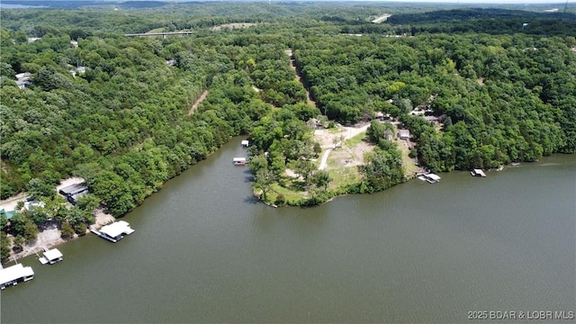 226 Chimney Rock Rd, Camdenton, MO 65020