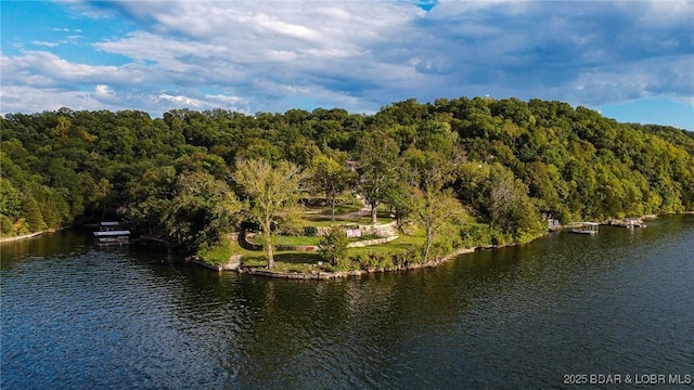 226 Chimney Rock Rd, Camdenton, MO 65020