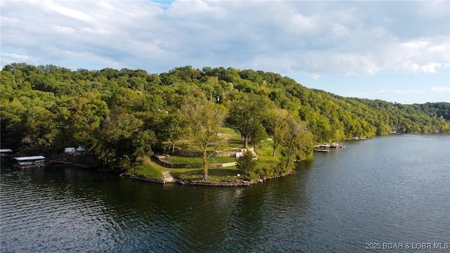 226 Chimney Rock Rd, Camdenton, MO 65020