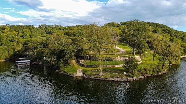 226 Chimney Rock Rd, Camdenton, MO 65020