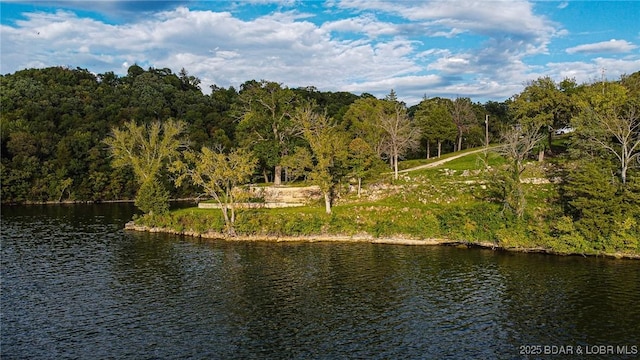 226 Chimney Rock Rd, Camdenton, MO 65020