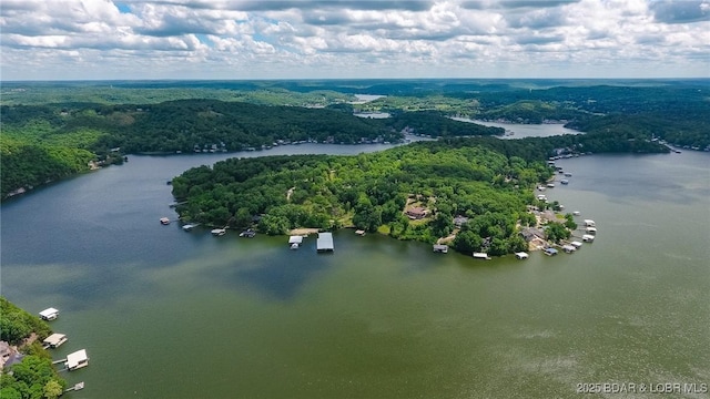 138 Siesta Cir, Camdenton, MO 65020 - drone / aerial view of a heavily wooded area and a nearby body of water