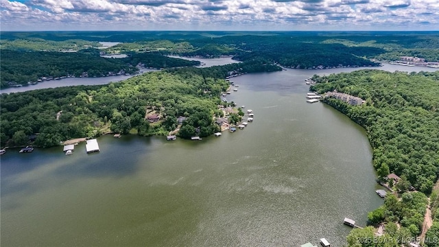 138 Siesta Cir, Camdenton, MO 65020 - drone / aerial view of a large body of water and a forest