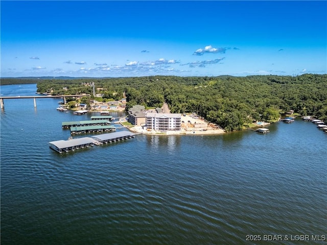 290 Plaza Beach Dr Unit 5A, Camdenton, MO 65020 - photo 4