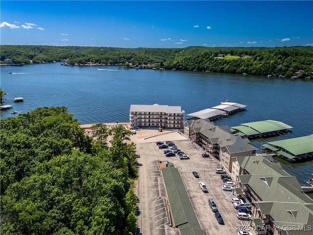 290 Plaza Beach Dr Unit 5A, Camdenton, MO 65020 - photo 24