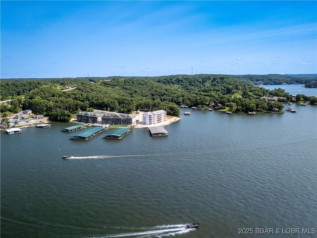 290 Plaza Beach Dr Unit 4D, Camdenton, MO 65020 - aerial view of a heavily wooded area and a large body of water