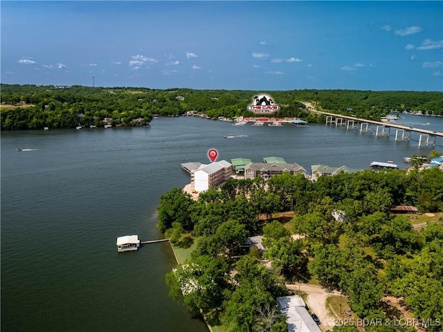 290 Plaza Beach Dr Unit 4D, Camdenton, MO 65020 - bird's eye view of a nearby body of water, a notable bridge, and a forest