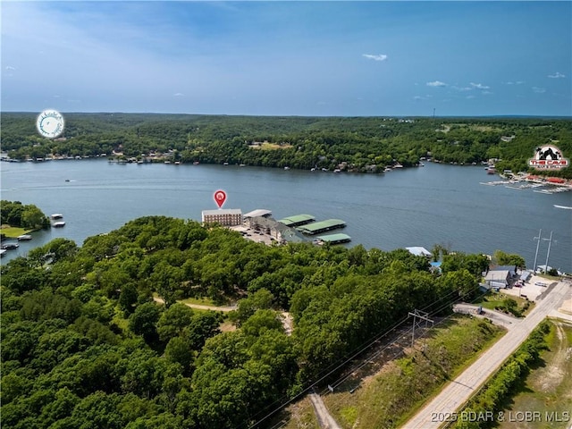 290 Plaza Beach Dr Unit 4D, Camdenton, MO 65020 - aerial view of a heavily wooded area and a large body of water