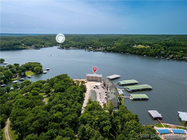 290 Plaza Beach Dr Unit 4D, Camdenton, MO 65020 - drone / aerial view of a forest and a large body of water