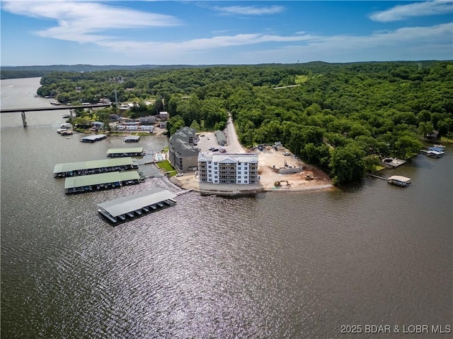 290 Plaza Beach Dr Unit 1C, Camdenton, MO 65020 - aerial view of a forest and a nearby body of water