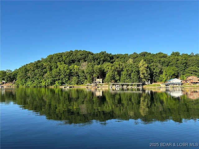 870 Jupiter Rd, Camdenton, MO 65020 - water view featuring a forest