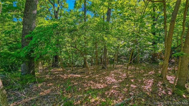 LOT862 Grand Cypress Ct, Porto Cima, MO 65079 - photo 2