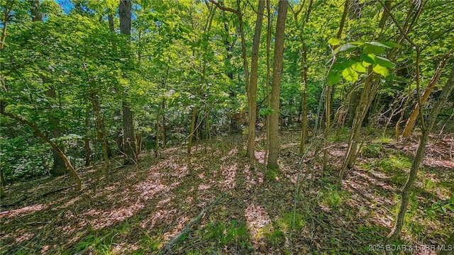 LOT862 Grand Cypress Ct, Porto Cima, MO 65079 - photo 3