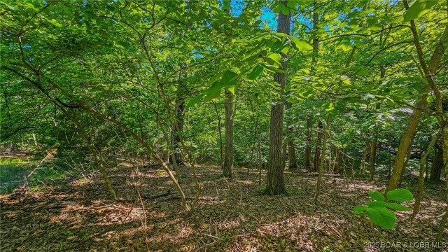 LOT862 Grand Cypress Ct, Porto Cima, MO 65079 - photo 4