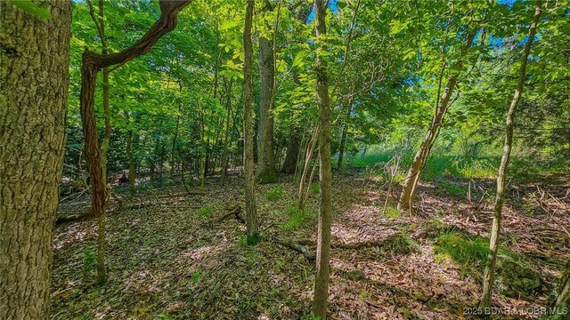 LOT862 Grand Cypress Ct, Porto Cima, MO 65079 - photo 5