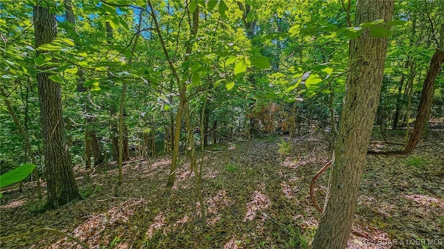 LOT862 Grand Cypress Ct, Porto Cima, MO 65079 - photo 6