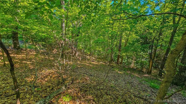 LOT862 Grand Cypress Ct, Porto Cima, MO 65079 - photo 7
