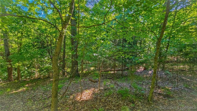 LOT862 Grand Cypress Ct, Porto Cima, MO 65079 - photo 9