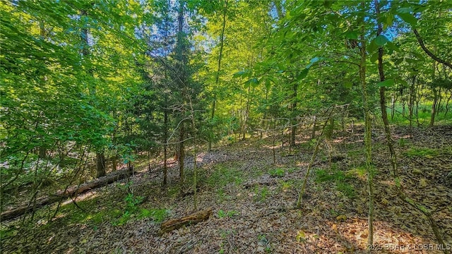 LOT862 Grand Cypress Ct, Porto Cima, MO 65079 - photo 10