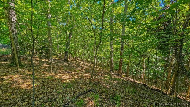 LOT862 Grand Cypress Ct, Porto Cima, MO 65079 - photo 11