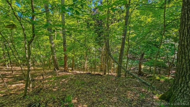 LOT862 Grand Cypress Ct, Porto Cima, MO 65079 - photo 12
