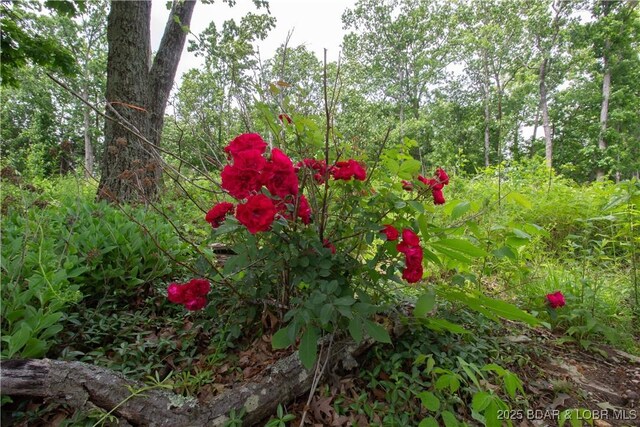 12850 17th Hwy, Crocker, MO 65452