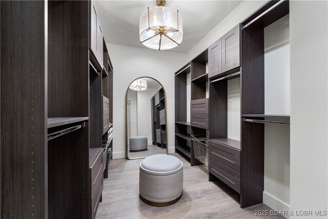 154 Via Cresta Dr, Sunrise Beach, MO 65079 - spacious closet with light wood-style flooring and arched walkways