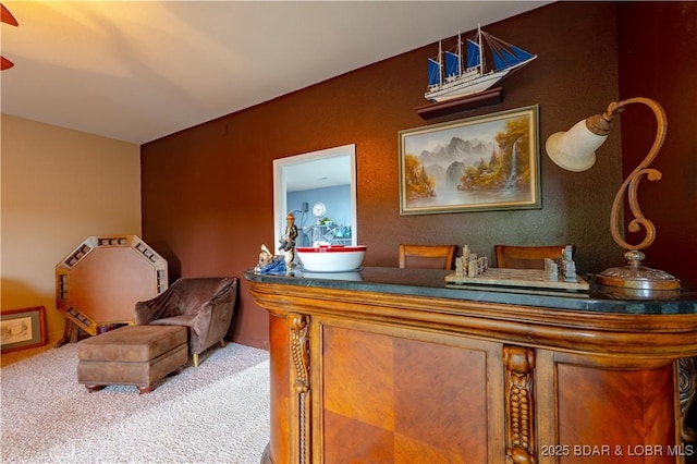 179 Regency Cove Dr, Lake Ozark, MO 65049 - detailed view of carpet flooring