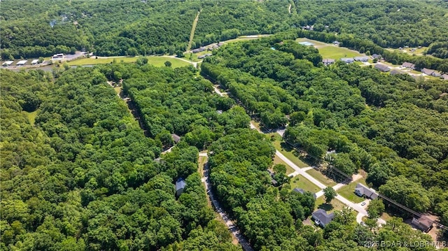 119 Camelot Dr, Camdenton, MO 65020 - aerial view of a forest