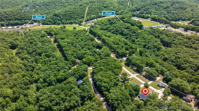 119 Camelot Dr, Camdenton, MO 65020 - bird's eye view of a forest