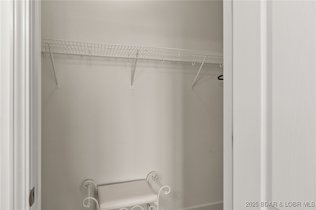 100 Trinity Pointe Dr Unit 4M, Camdenton, MO 65020 - view of closet