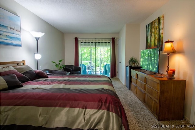 24 Canoe Ct, Osage Beach, MO 65065 - carpeted bedroom with access to outside and a textured ceiling