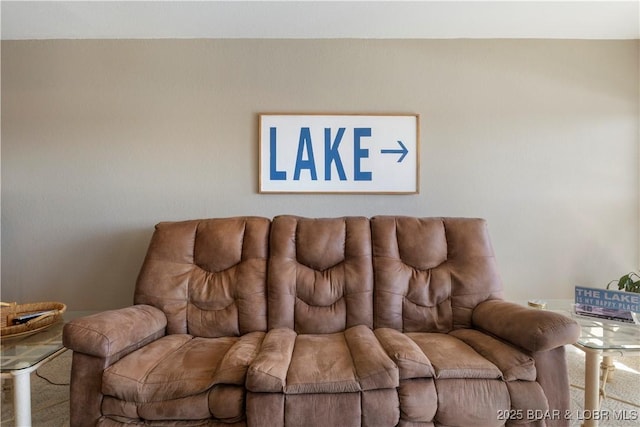 44 Emerald Bay Ct Unit 1B, Lake Ozark, MO 65049 - living room featuring carpet