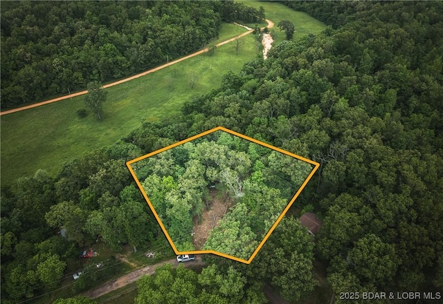 882 Wayne 459 Rd, Mo, MO 63957 - view of property location with a heavily wooded area and property boundaries highlighted