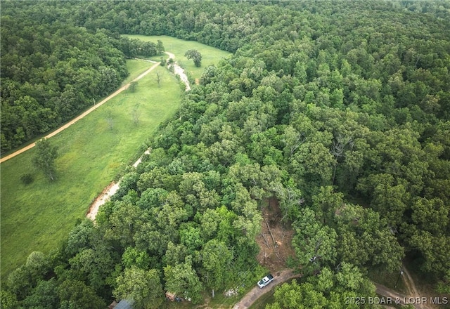 882 Wayne 459 Rd, Mo, MO 63957 - view of property location with a heavily wooded area