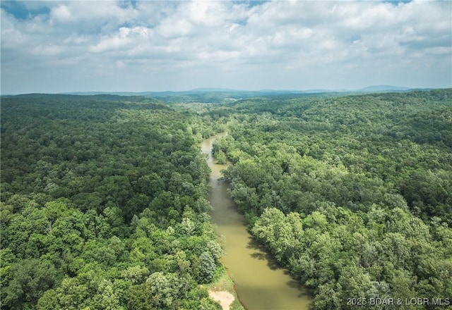 882 Wayne 459 Rd, Mo, MO 63957 - drone / aerial view of a forest