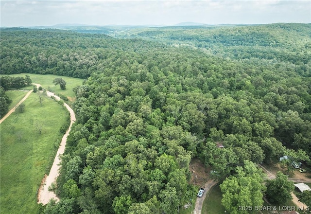 882 Wayne 459 Rd, Mo, MO 63957 - bird's eye view of a heavily wooded area